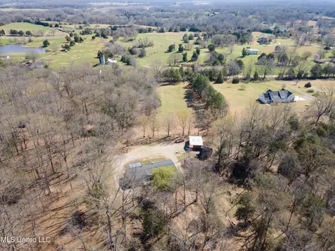 View/Area - 5796 Sycamore Dr, Hernando, MS 38632 photo 7 of 11