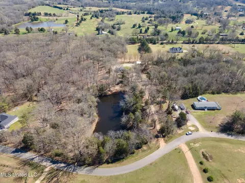 View/Area - 5796 Sycamore Dr, Hernando, MS 38632 photo 3 of 11