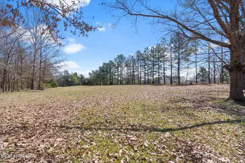 Exterior - 5796 Sycamore Dr, Hernando, MS 38632 photo 13 of 13