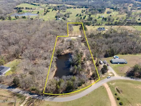 View/Area - 5796 Sycamore Dr, Hernando, MS 38632 photo 4 of 11
