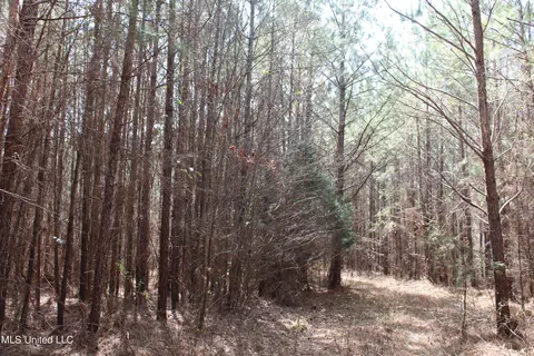 115 Gadd Rd, Hickory Flat, MS 38633 photo 5