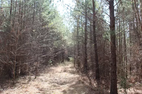 115 Gadd Rd, Hickory Flat, MS 38633 photo 3