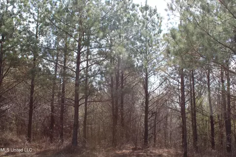 115 Gadd Rd, Hickory Flat, MS 38633 photo 11