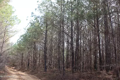 115 Gadd Rd, Hickory Flat, MS 38633 photo 10