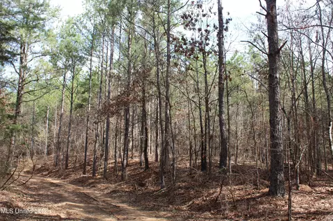 115 Gadd Rd, Hickory Flat, MS 38633 photo 8