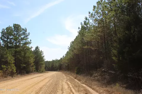 115 Gadd Rd, Hickory Flat, MS 38633 photo 7