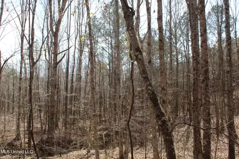 115 Gadd Rd, Hickory Flat, MS 38633 photo 4