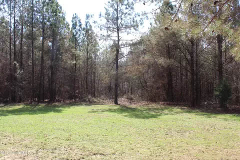 115 Gadd Rd, Hickory Flat, MS 38633