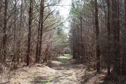 115 Gadd Rd, Hickory Flat, MS 38633 photo 12