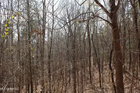115 Gadd Rd, Hickory Flat, MS 38633 photo 9
