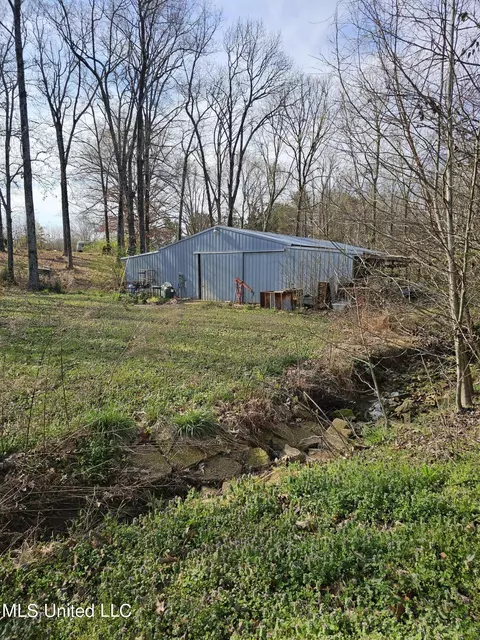 View/Area - 1821 Star Landing Rd, Nesbit, MS 38651 photo 1 of 2