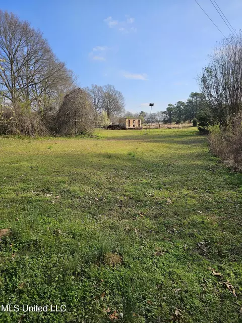 Exterior - 1821 Star Landing Rd, Nesbit, MS 38651 photo 10 of 13