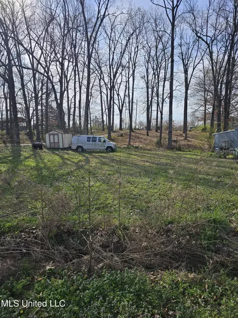 View/Area - 1821 Star Landing Rd, Nesbit, MS 38651 photo 2 of 2