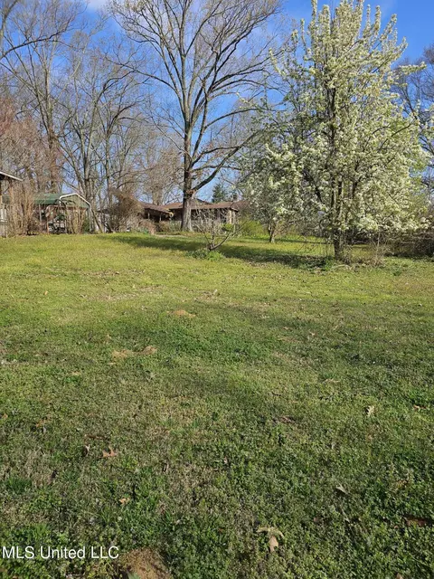 Exterior - 1821 Star Landing Rd, Nesbit, MS 38651 photo 12 of 13