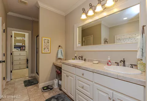 Bath - 421 Rolling Hills Cir, Brandon, MS 39042 photo 1 of 4