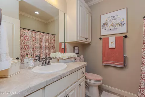Bath - 421 Rolling Hills Cir, Brandon, MS 39042 photo 4 of 4