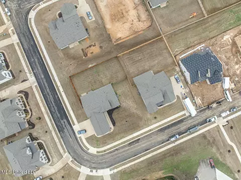 View/Area - 6920 S Sunrise Loop, Olive Branch, MS 38654 photo 3 of 3