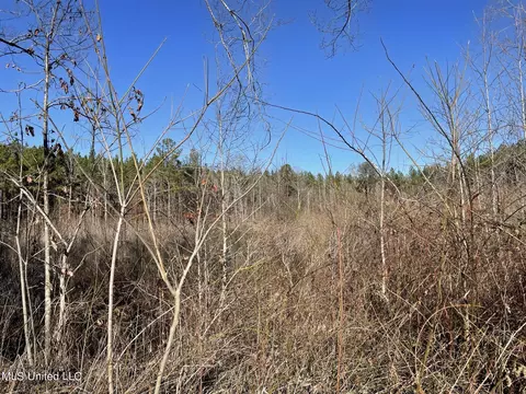 Bridges Road, Kilmichael, MS 39747 photo 3