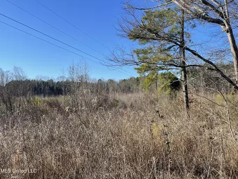 Bridges Road, Kilmichael, MS 39747 photo 6