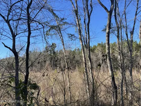 Bridges Road, Kilmichael, MS 39747 photo 2