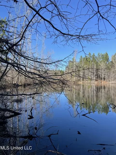 Bridges Road, Kilmichael, MS 39747 photo 8