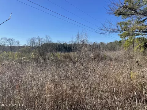 Bridges Road, Kilmichael, MS 39747 photo 5