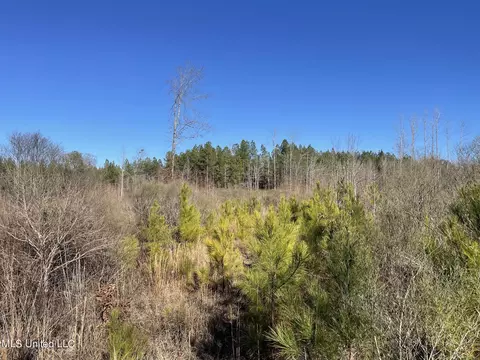 Bridges Road, Kilmichael, MS 39747