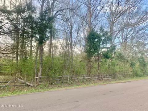 0 Hickory Ln, Terry, MS 39170 photo 3