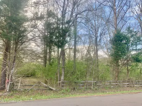 0 Hickory Ln, Terry, MS 39170 photo 2
