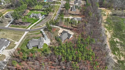 View/Area - 174 Fallen Oaks Dr, Brandon, MS 39047 photo 7 of 7
