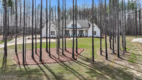 View/Area - 174 Fallen Oaks Dr, Brandon, MS 39047 photo 2 of 7