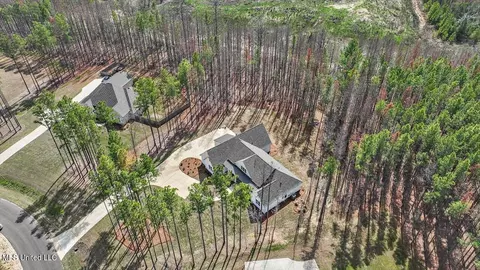 View/Area - 174 Fallen Oaks Dr, Brandon, MS 39047 photo 3 of 7