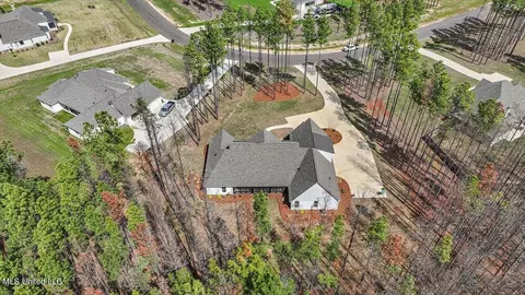 Exterior - 174 Fallen Oaks Dr, Brandon, MS 39047 photo 21 of 23