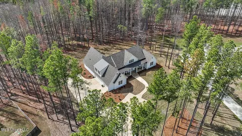 Exterior - 174 Fallen Oaks Dr, Brandon, MS 39047 photo 18 of 23
