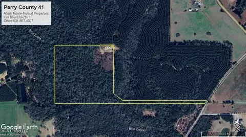 3 Bluff Creek Rd, Wiggins, MS 39577 photo 25