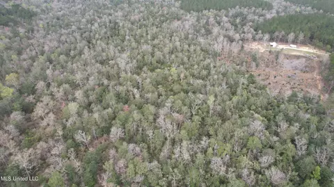 3 Bluff Creek Rd, Wiggins, MS 39577 photo 21