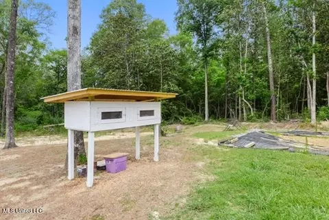 3 Bluff Creek Rd, Wiggins, MS 39577 photo 16