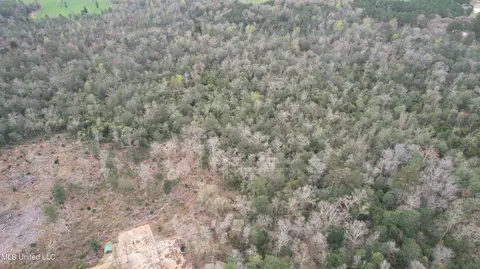 3 Bluff Creek Rd, Wiggins, MS 39577 photo 24