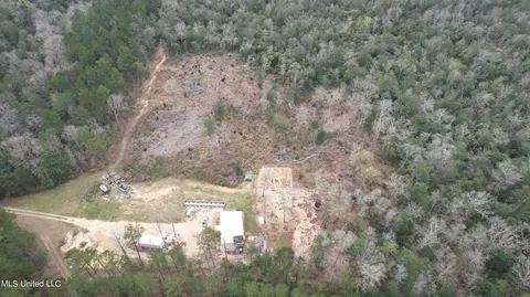 3 Bluff Creek Rd, Wiggins, MS 39577 photo 23