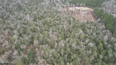 3 Bluff Creek Rd, Wiggins, MS 39577 photo 18