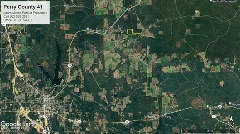 3 Bluff Creek Rd, Wiggins, MS 39577 photo 26