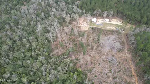 3 Bluff Creek Rd, Wiggins, MS 39577 photo 22