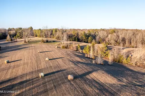955 W Kendall Dr, Cascilla, MS 38920