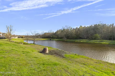 View/Area - 124 Bienville Dr, Madison, MS 39110 photo 1 of 6