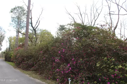 Exterior - 158 I J Williams Road Rd, Lucedale, MS 39452 photo 10 of 13