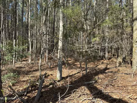 Lawrence Hazel Rd Road, Lawrence, MS 39336