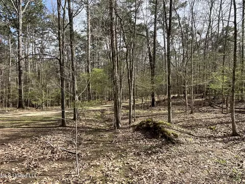 Exterior - 140 Old Mill Trl, Florence, MS 39073 photo 38 of 70