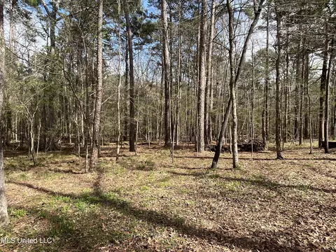 Exterior - 140 Old Mill Trl, Florence, MS 39073 photo 33 of 70