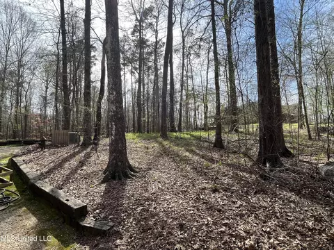 Exterior - 140 Old Mill Trl, Florence, MS 39073 photo 34 of 70