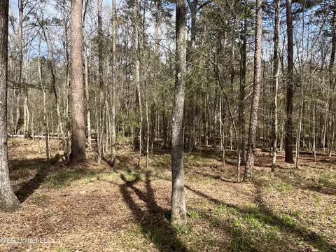 Other - 140 Old Mill Trl, Florence, MS 39073 photo 35 of 52